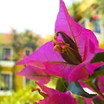 Hotel Meldi *