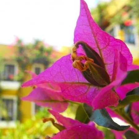 Hotel Meldi *